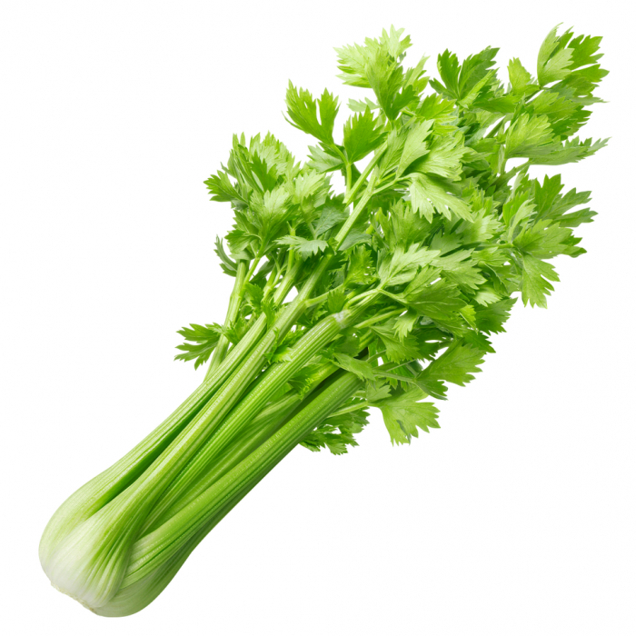Image 20